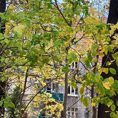 Kamienica Winieckiego Apartamento *