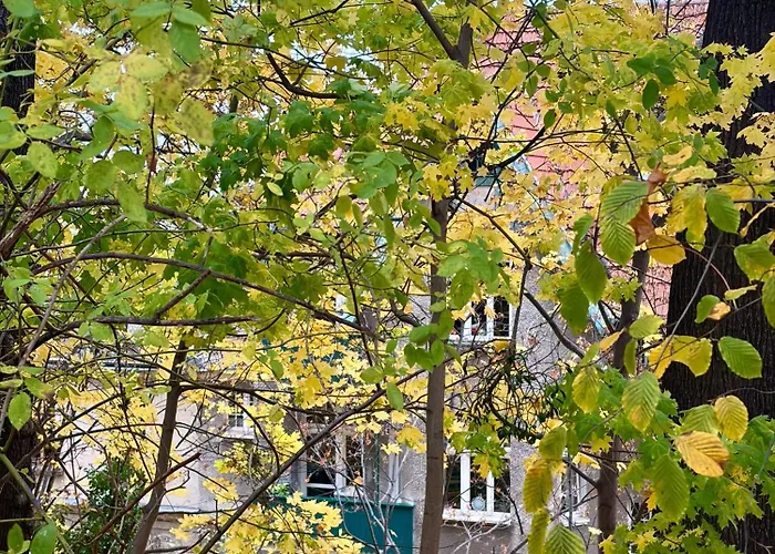 Kamienica Winieckiego Apartament *